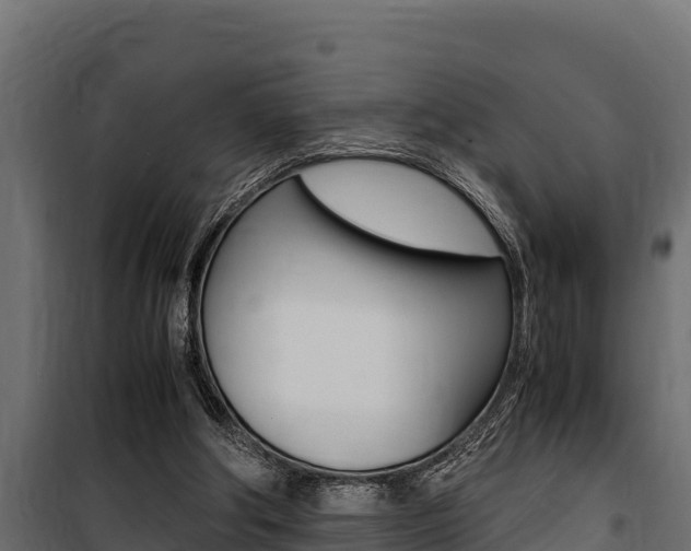X0000100770202200806190941