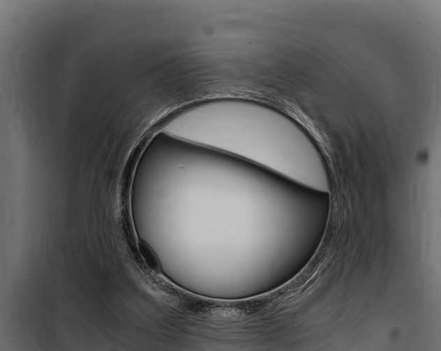 X0000100770203200806190941