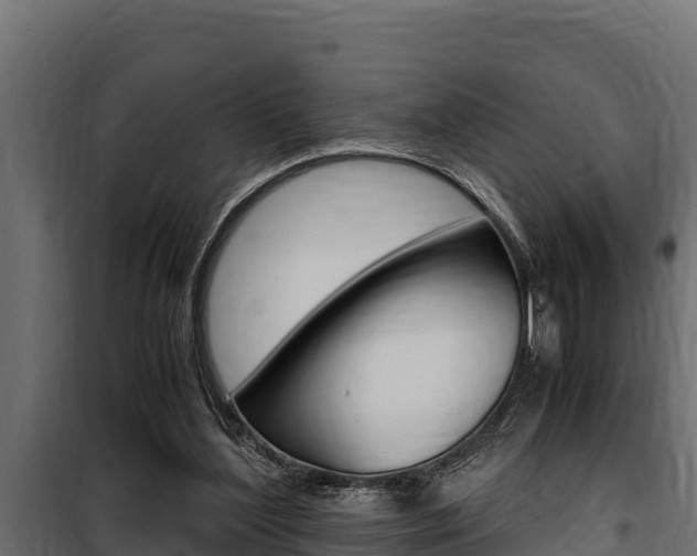 X0000100770204200806190941