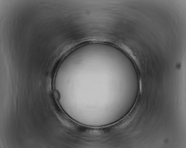 X0000100770205200806190941