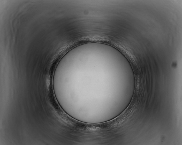X0000100770206200806190941