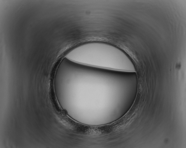 X0000100770207200806190941