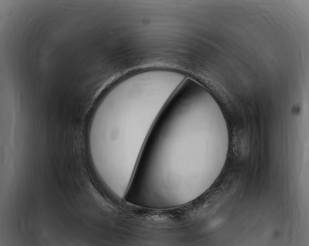 X0000100770208200806190941