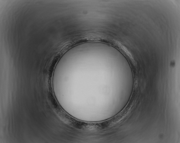 X0000100770209200806190941