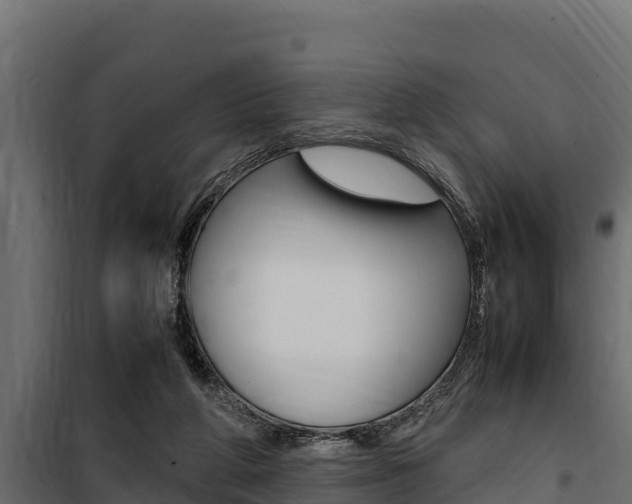 X0000100770210200806190941