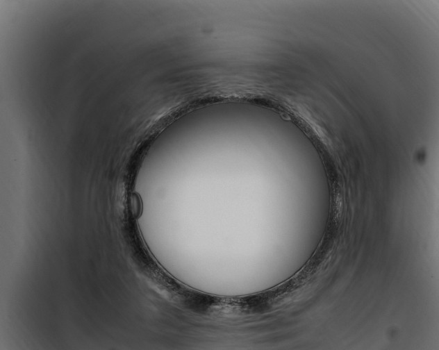 X0000100770211200806190941