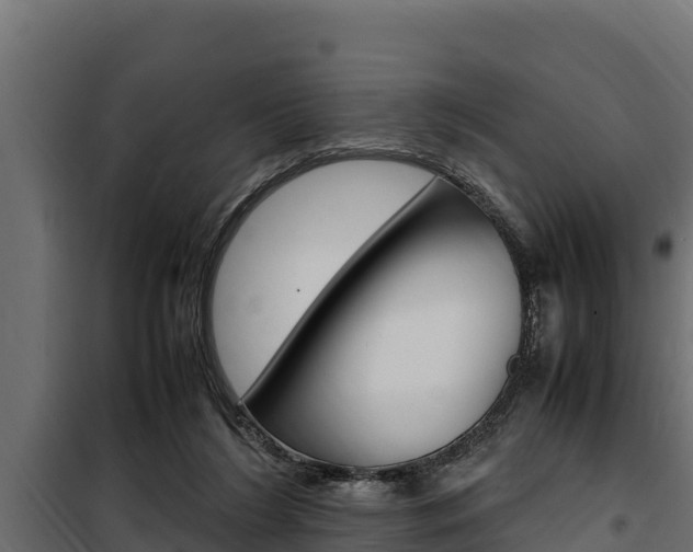 X0000100770212200806190941