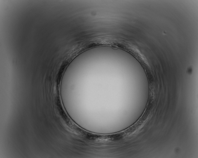 X0000100770213200806190941