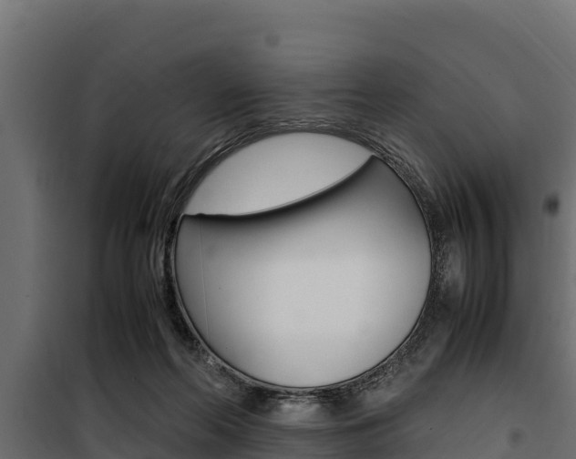X0000100770214200806190941