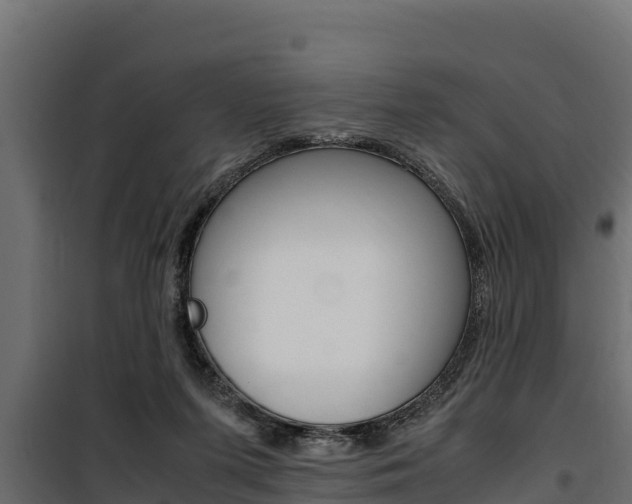 X0000100770215200806190941