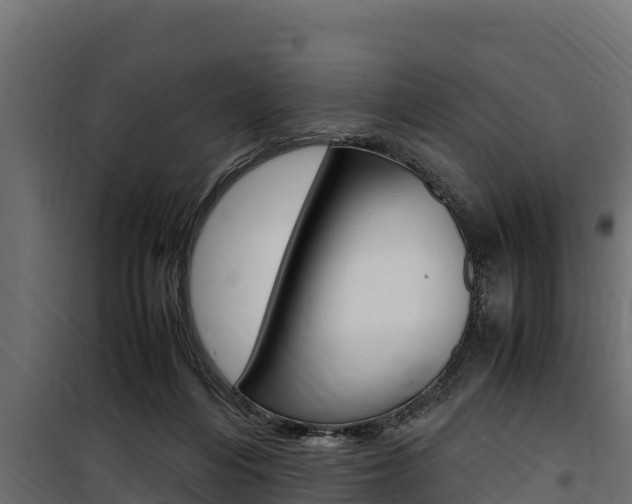 X0000100770216200806190941