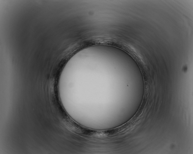 X0000100770217200806190941