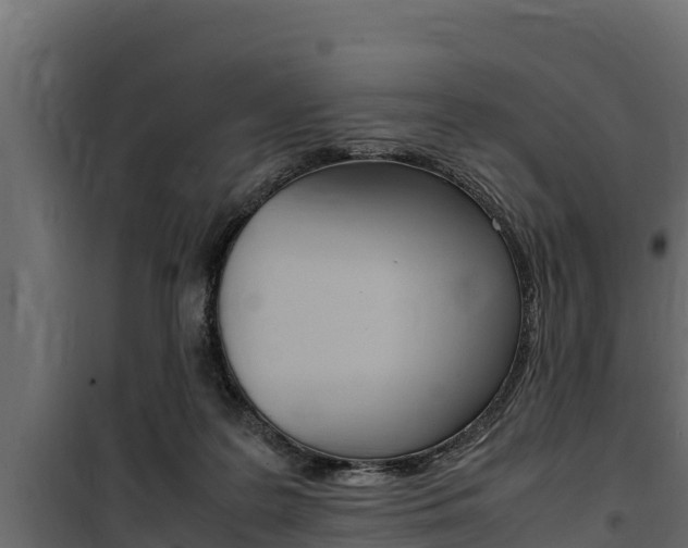 X0000100770219200806190940