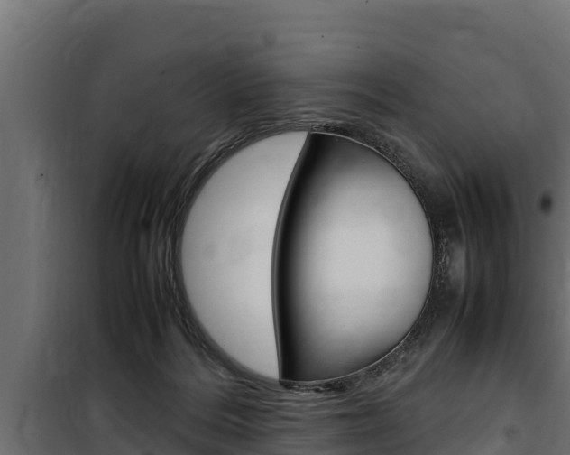X0000100770220200806190940