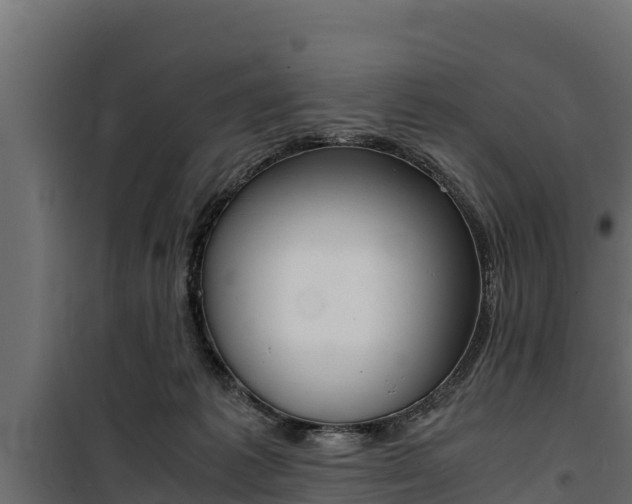 X0000100770221200806190940