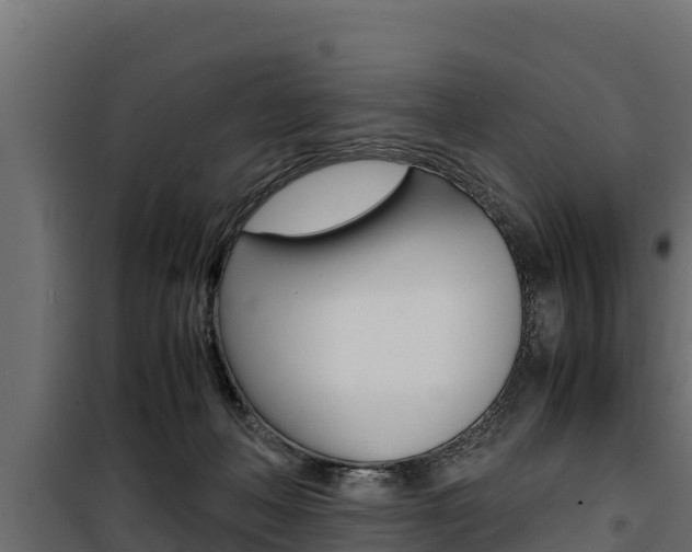 X0000100770222200806190940