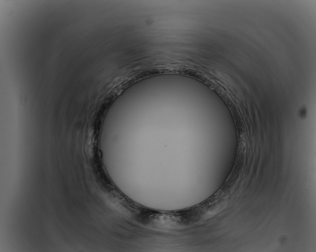 X0000100770223200806190940