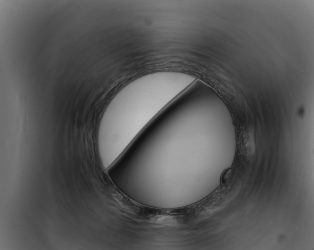 X0000100770224200806190940