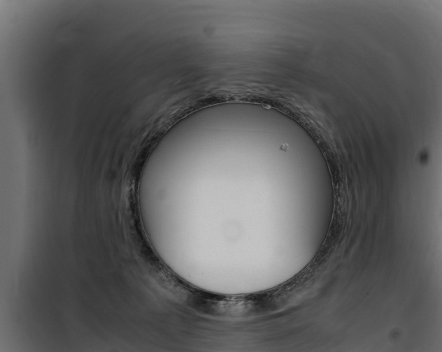 X0000100770225200806190940