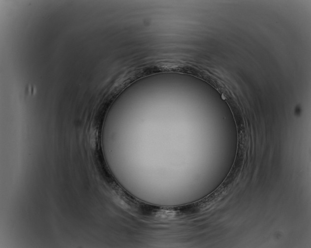 X0000100770227200806190940