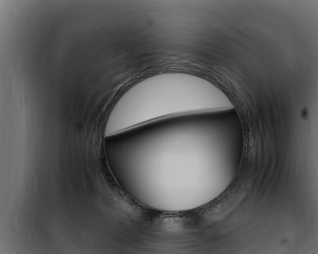 X0000100770228200806190940