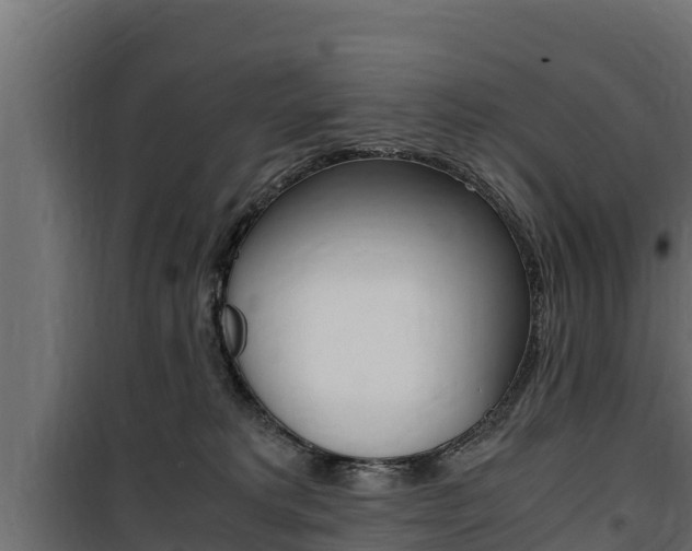 X0000100770229200806190940