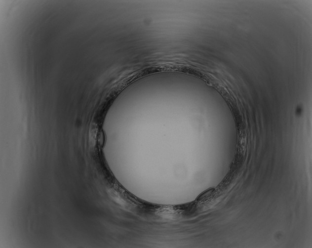 X0000100770231200806190940