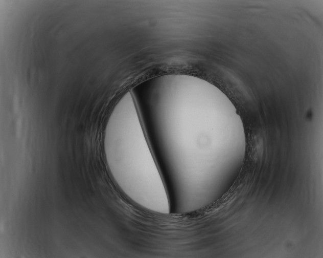 X0000100770232200806190940