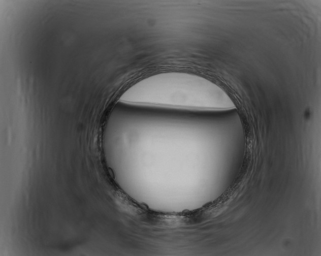 X0000100770233200806190940