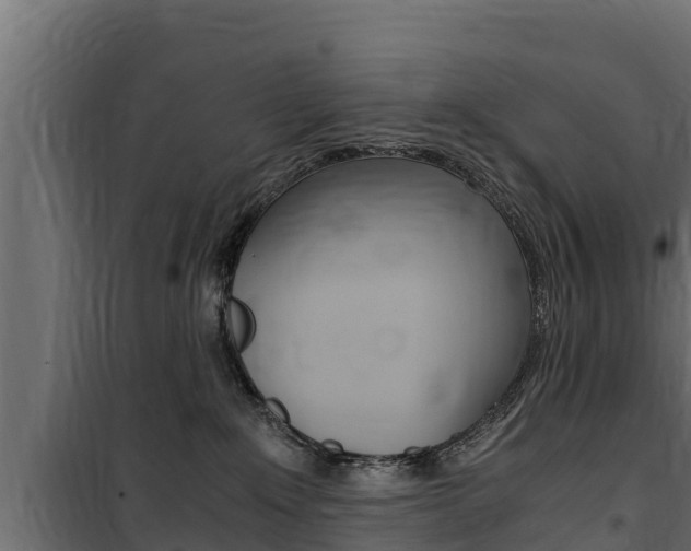 X0000100770235200806190940
