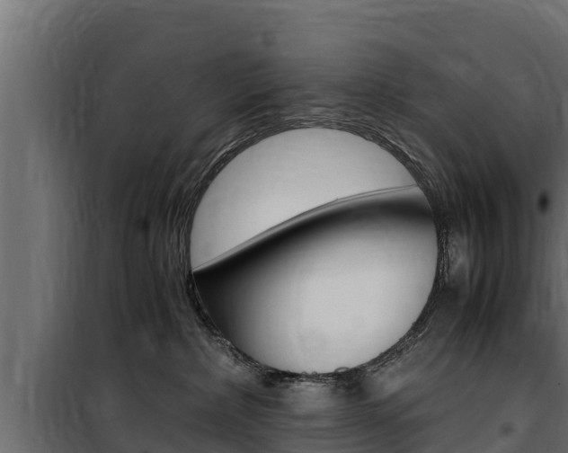 X0000100770236200806190940