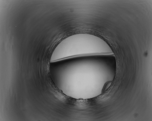 X0000100770240200806190940