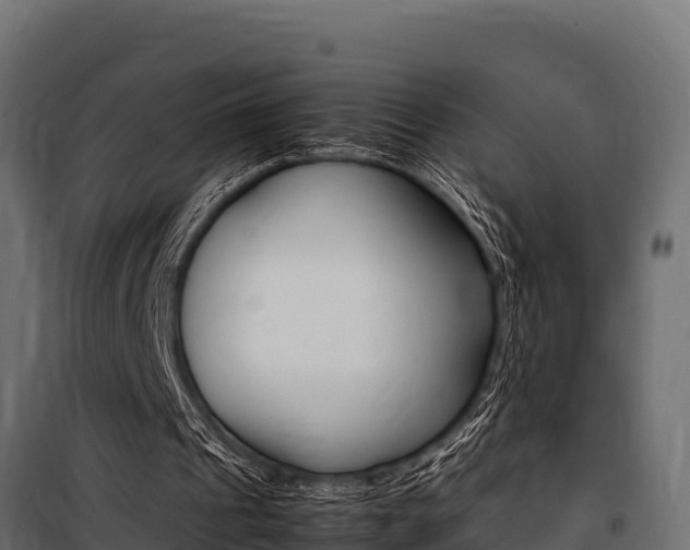 X0000100770241200806190939