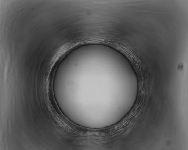 X0000100770242200806190939