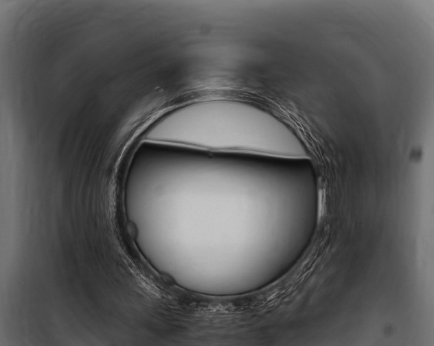 X0000100770243200806190939