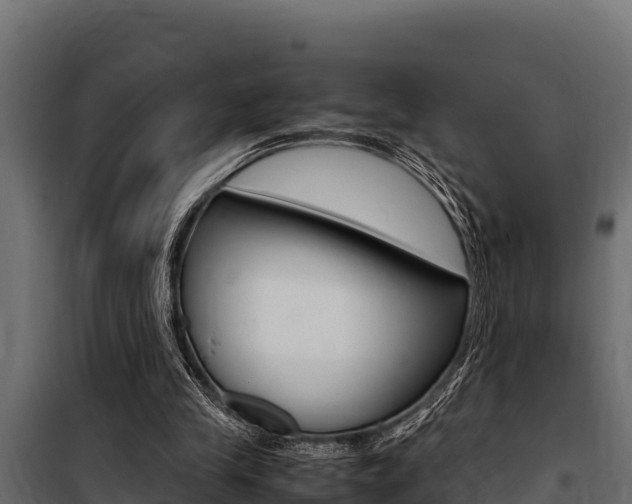 X0000100770245200806190939
