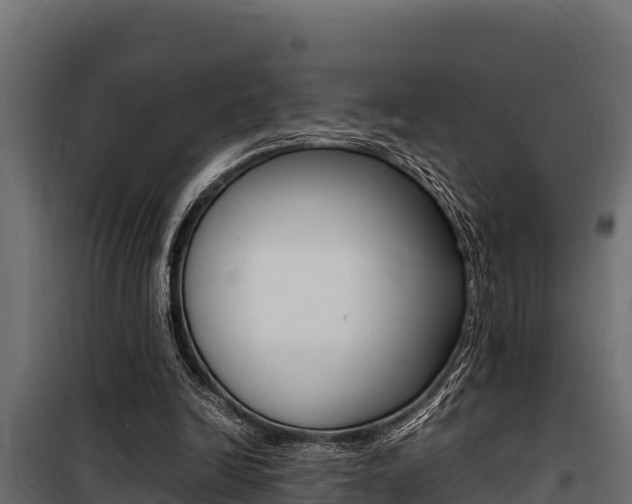 X0000100770246200806190939