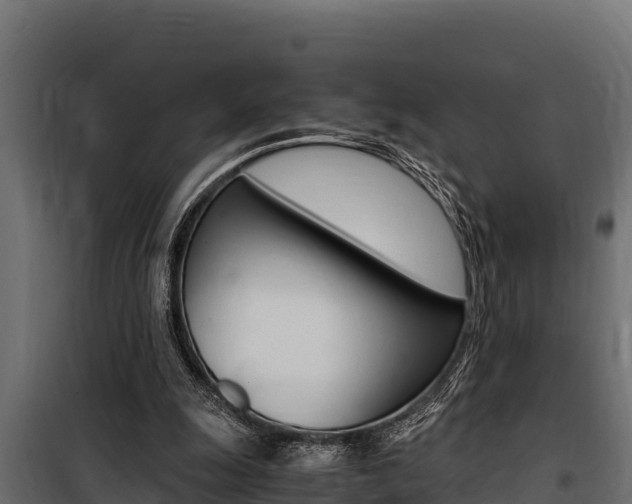 X0000100770247200806190939