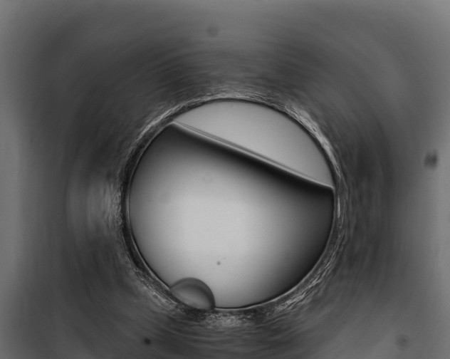 X0000100770249200806190939