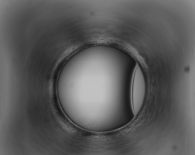 X0000100770250200806190939