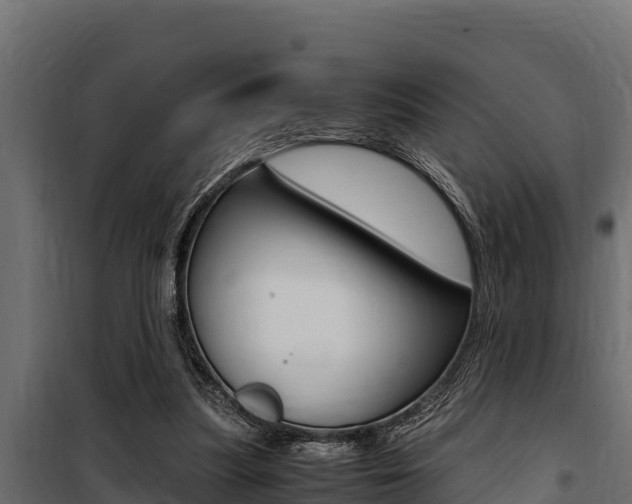 X0000100770251200806190939
