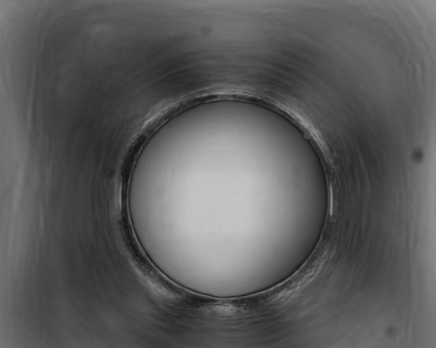 X0000100770253200806190939