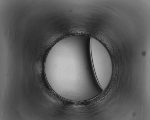 X0000100770255200806190940