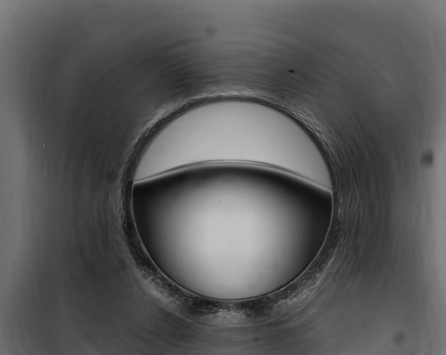 X0000100770256200806190940