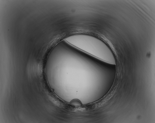 X0000100770257200806190940