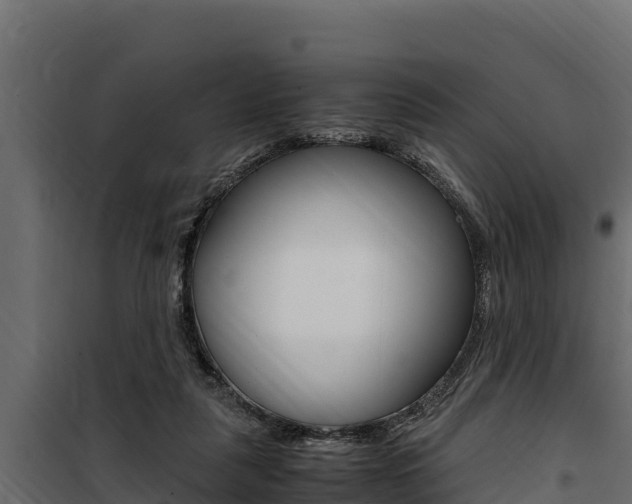 X0000100770259200806190940
