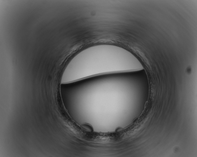 X0000100770260200806190940