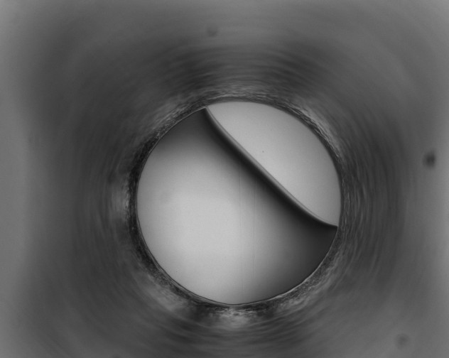X0000100770261200806190940