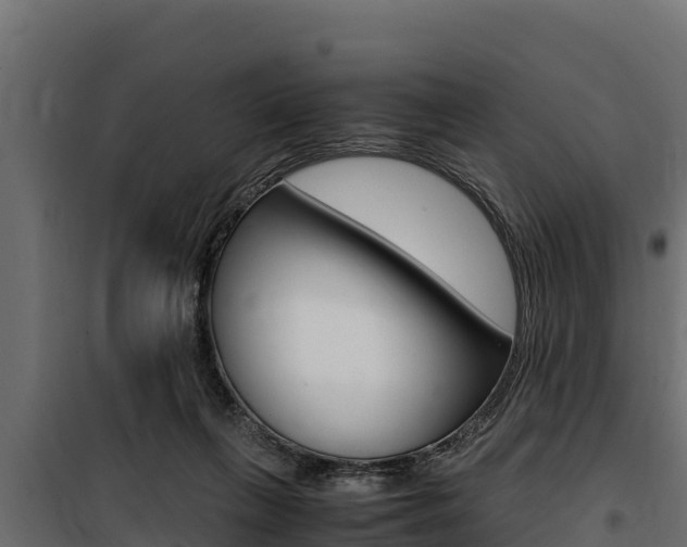 X0000100770263200806190940