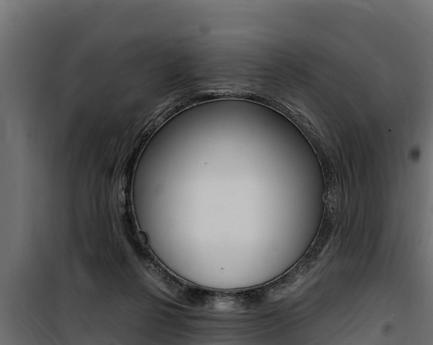 X0000100770264200806190940